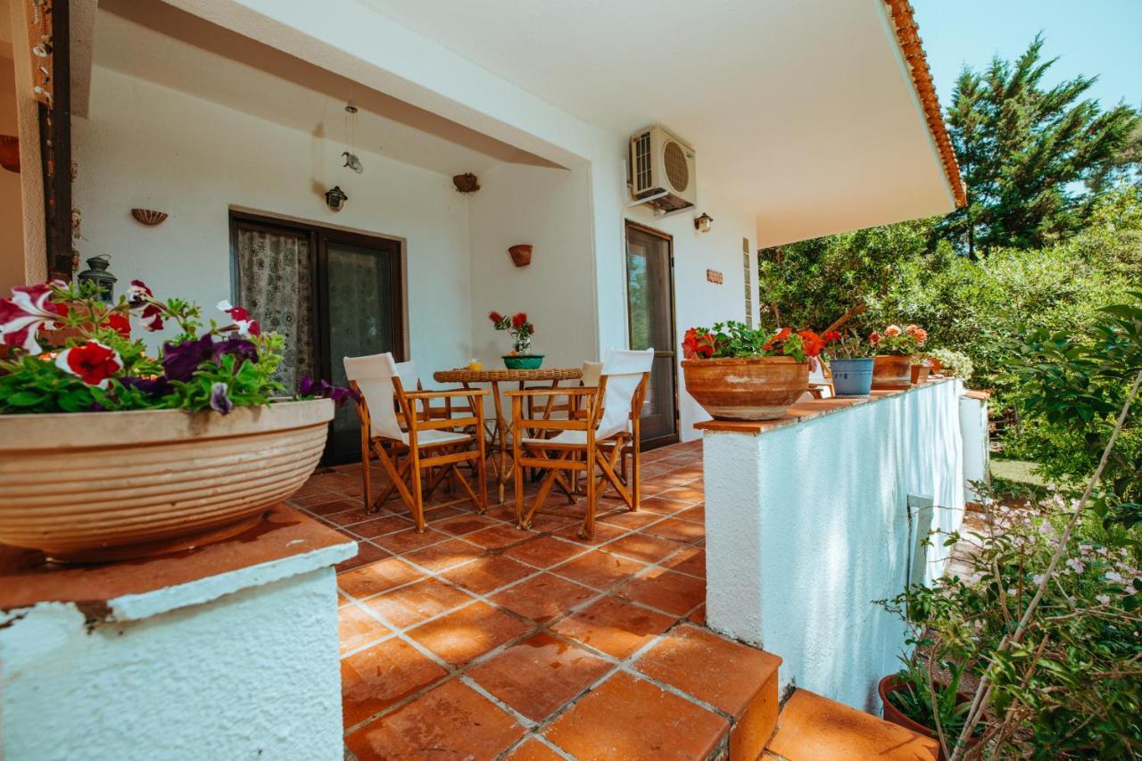 Forest House Near The Sea Sani (Chalkidiki) Exterior foto