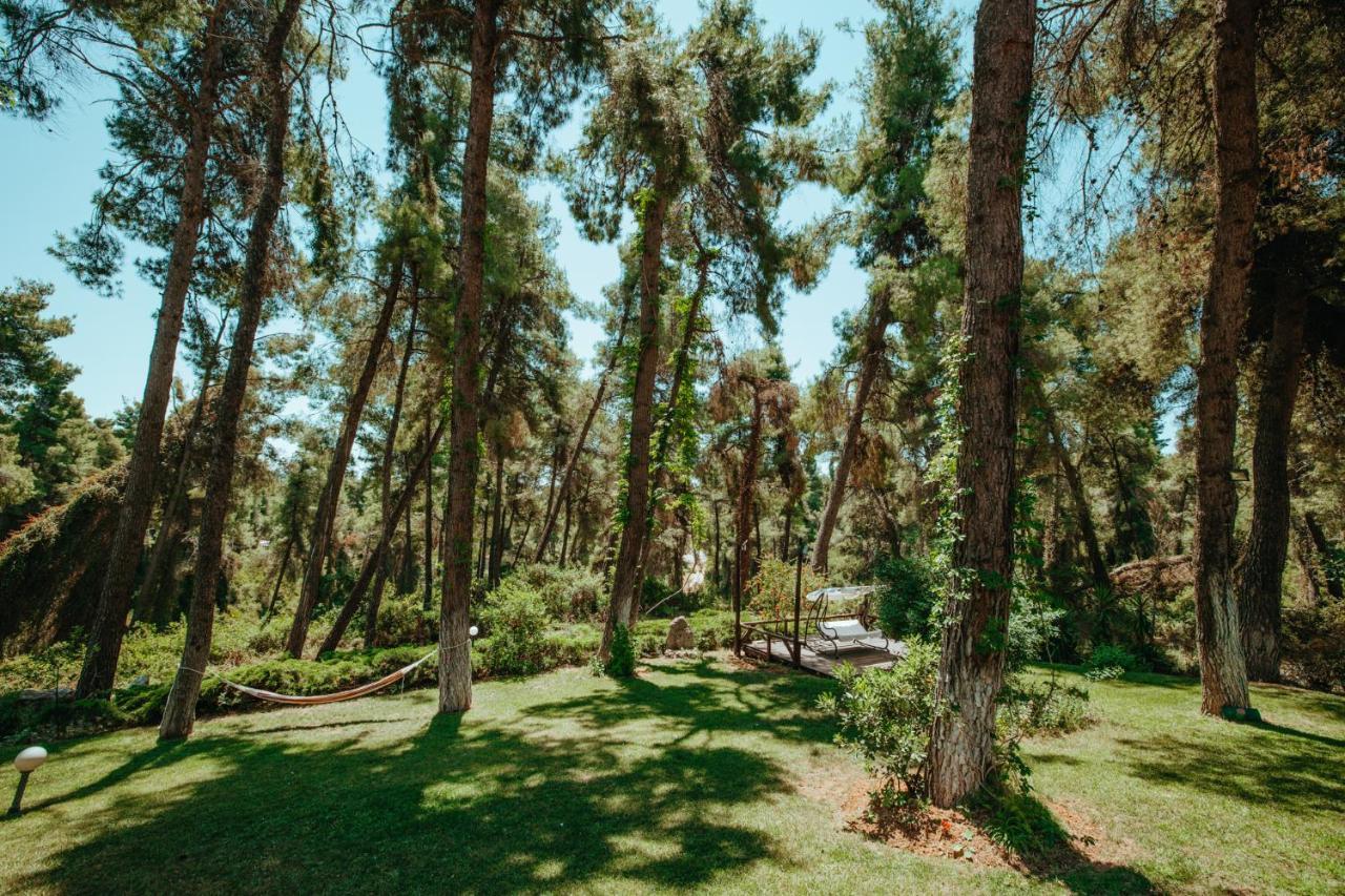 Forest House Near The Sea Sani (Chalkidiki) Exterior foto